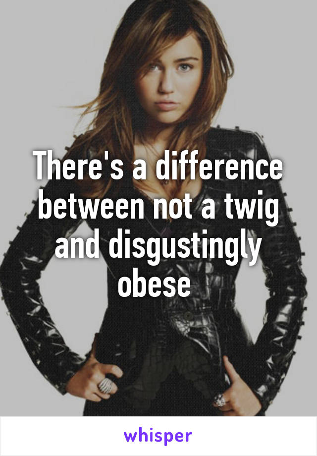 There's a difference between not a twig and disgustingly obese 