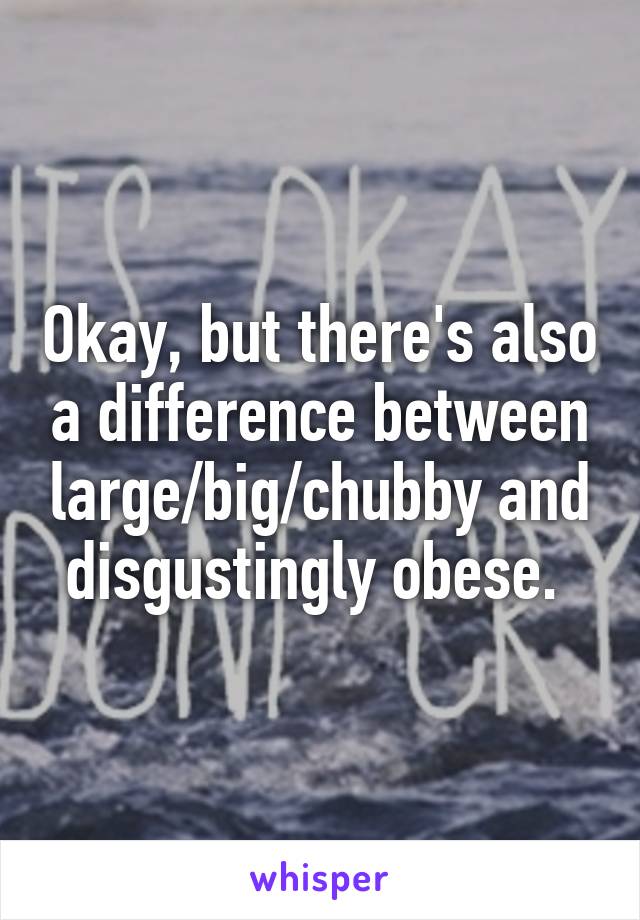 Okay, but there's also a difference between large/big/chubby and disgustingly obese. 