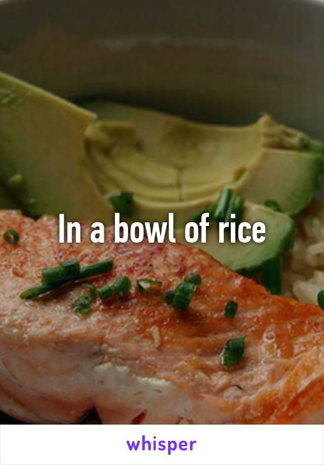 In a bowl of rice