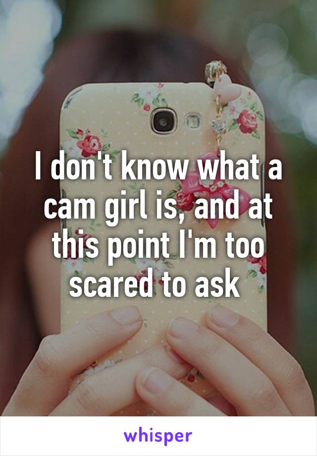 I don't know what a cam girl is, and at this point I'm too scared to ask 