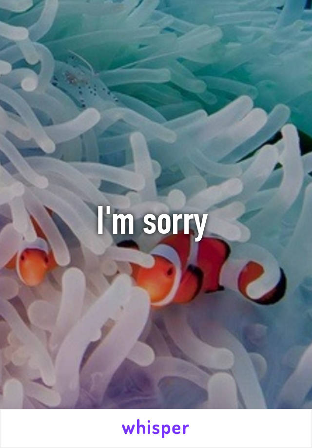 I'm sorry 