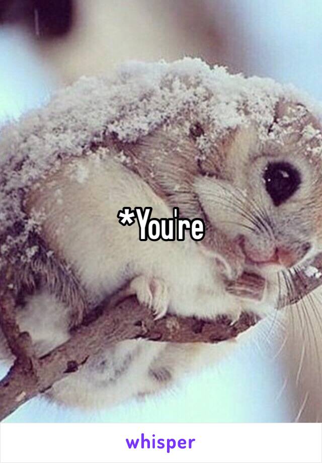 *You're