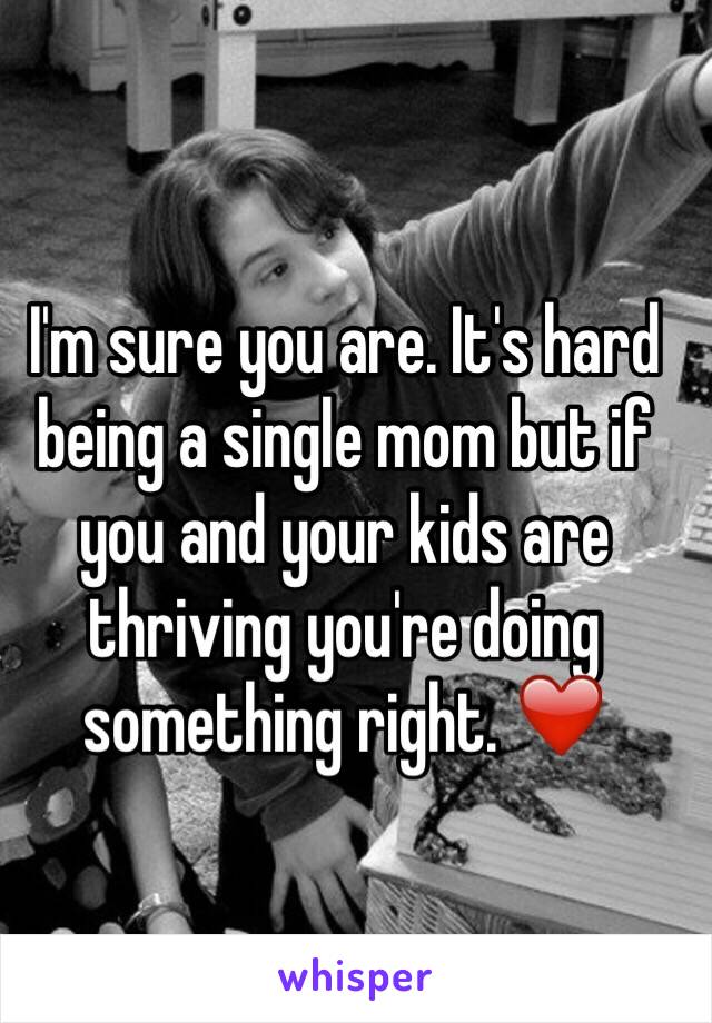 I'm sure you are. It's hard being a single mom but if you and your kids are thriving you're doing something right. ❤️