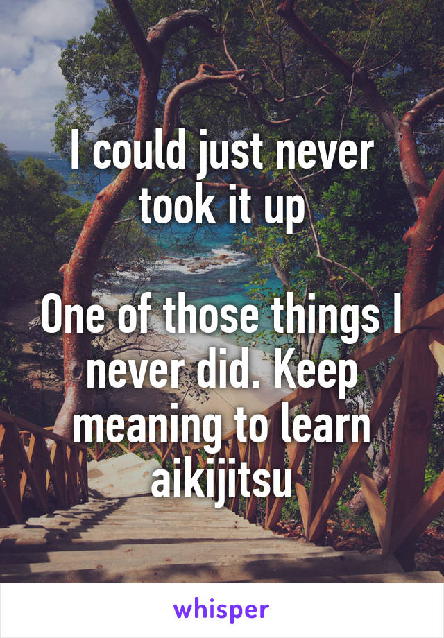 I could just never took it up

One of those things I never did. Keep meaning to learn aikijitsu