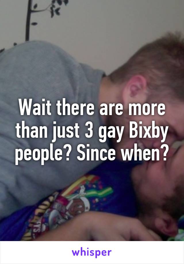 Wait there are more than just 3 gay Bixby people? Since when?