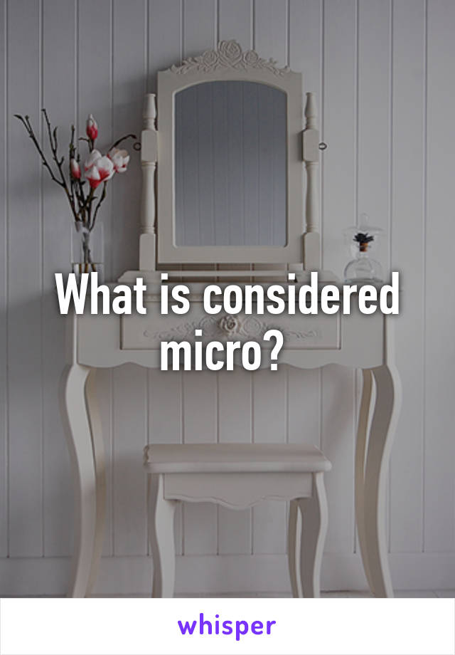 What is considered micro? 