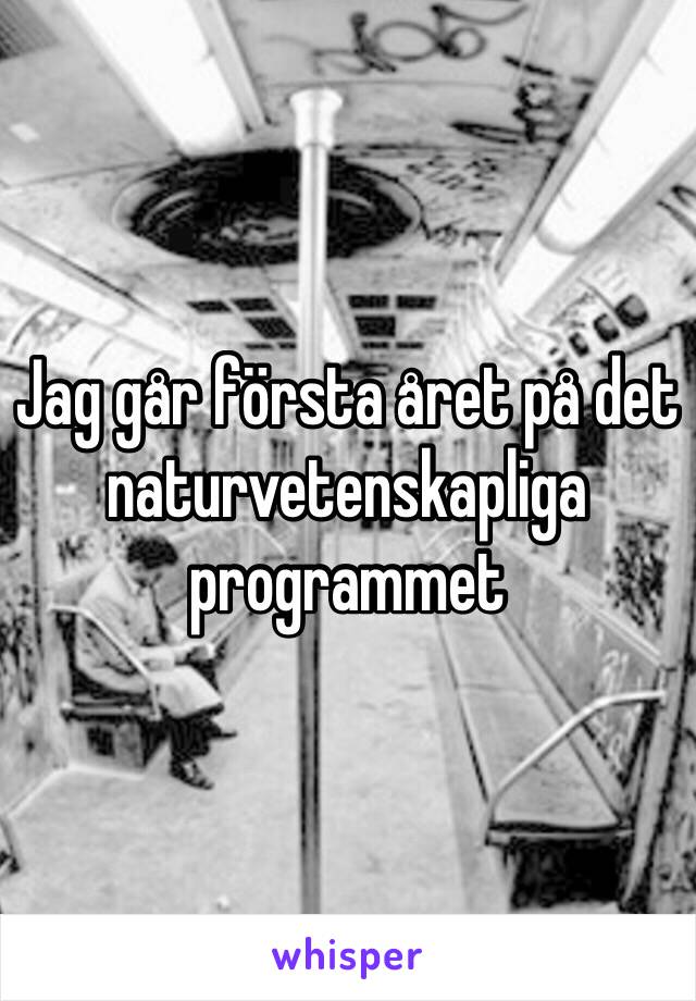 Jag går första året på det naturvetenskapliga programmet 