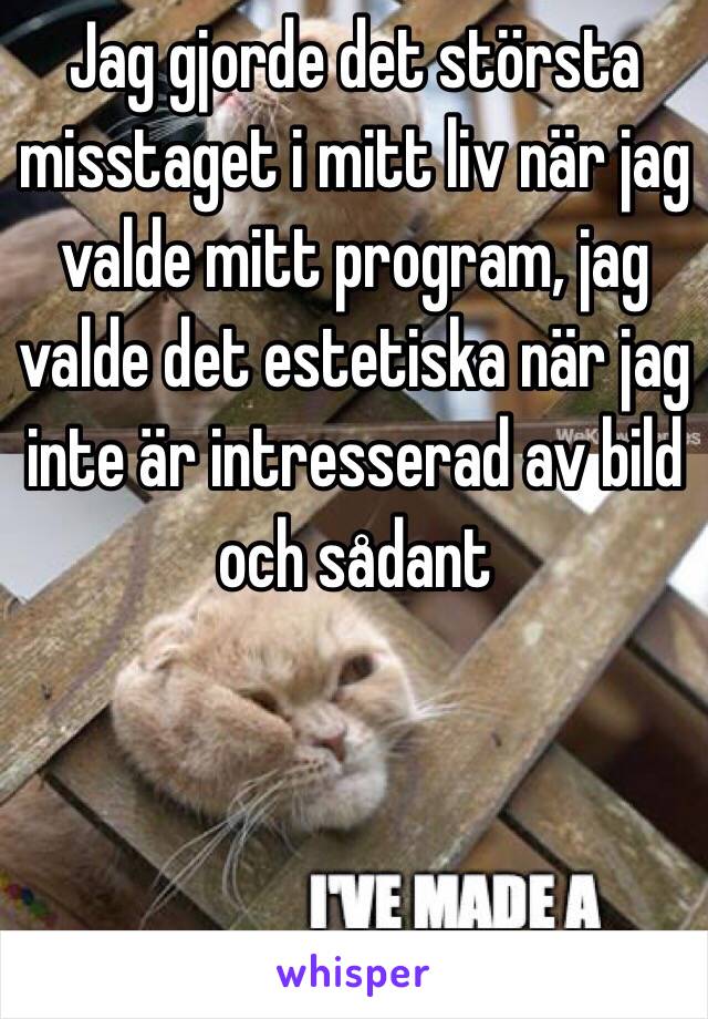 Jag gjorde det största misstaget i mitt liv när jag valde mitt program, jag valde det estetiska när jag inte är intresserad av bild och sådant

