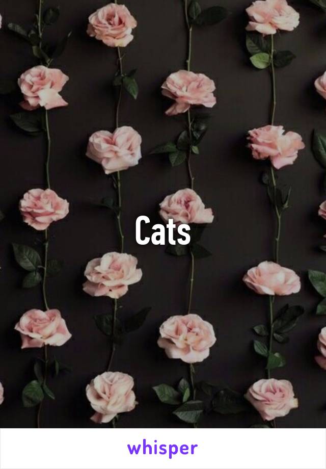 Cats