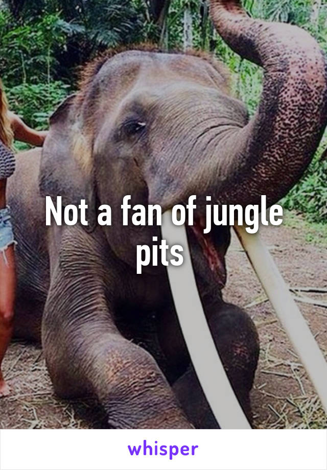 Not a fan of jungle pits 