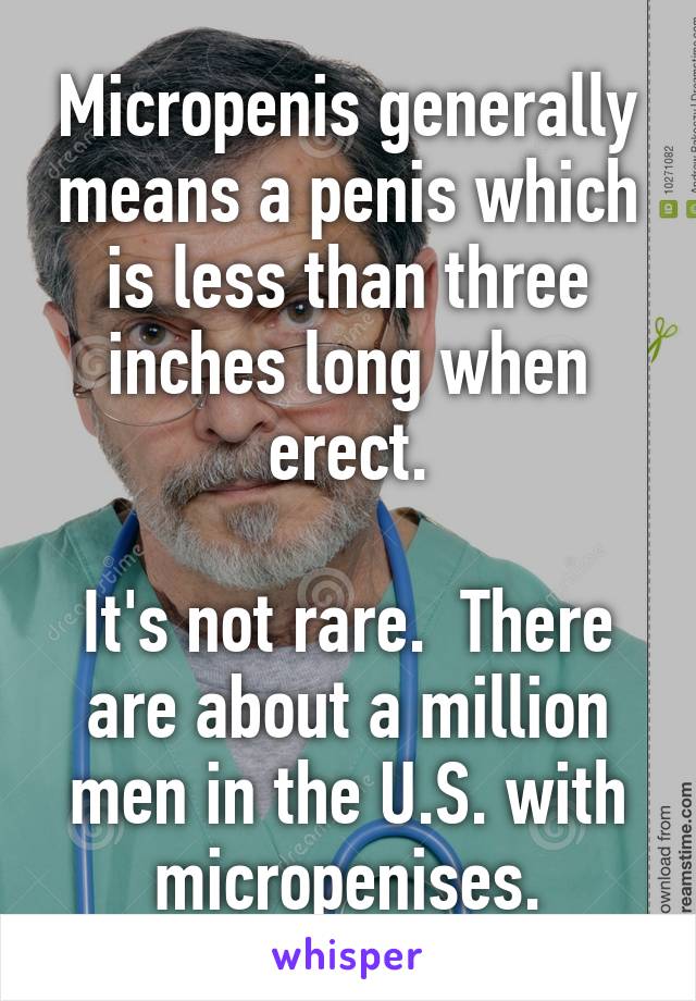 Micropenis generally means a penis which is less than three inches long when erect.

It's not rare.  There are about a million men in the U.S. with micropenises.