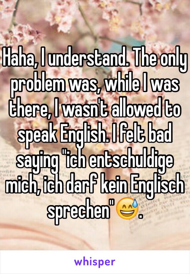 Haha, I understand. The only problem was, while I was there, I wasn't allowed to speak English. I felt bad saying "ich entschuldige mich, ich darf kein Englisch sprechen"😅. 