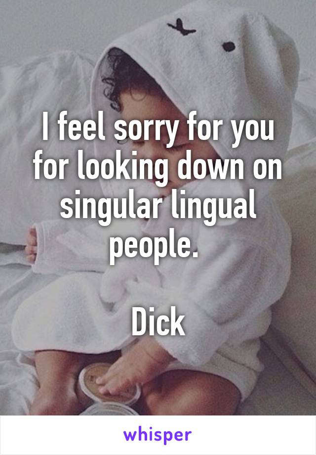 I feel sorry for you for looking down on singular lingual people. 

Dick