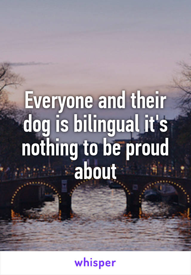 Everyone and their dog is bilingual it's nothing to be proud about