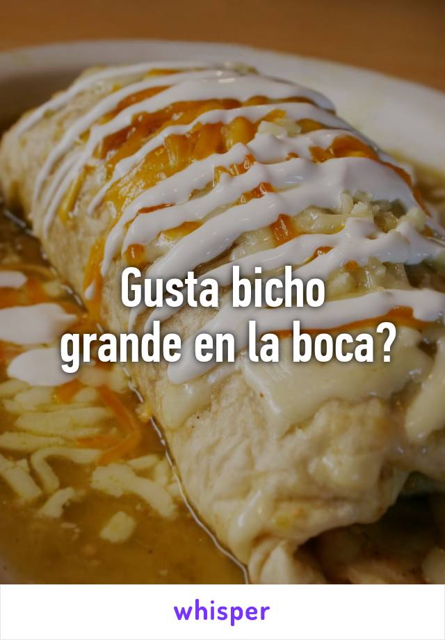 Gusta bicho
 grande en la boca?