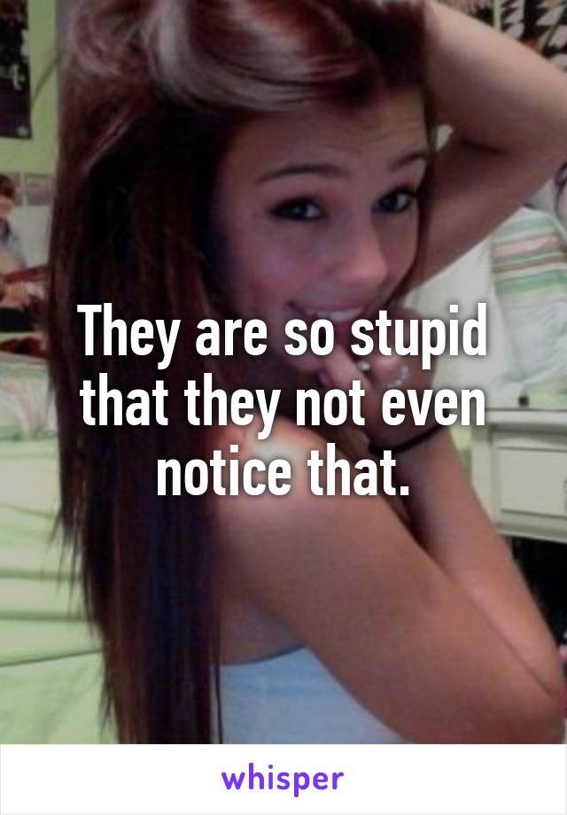 They are so stupid that they not even notice that.