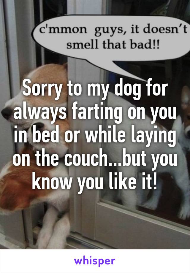 Sorry to my dog for always farting on you in bed or while laying on the couch...but you know you like it!