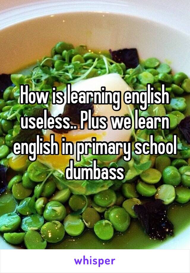 How is learning english useless.. Plus we learn english in primary school dumbass