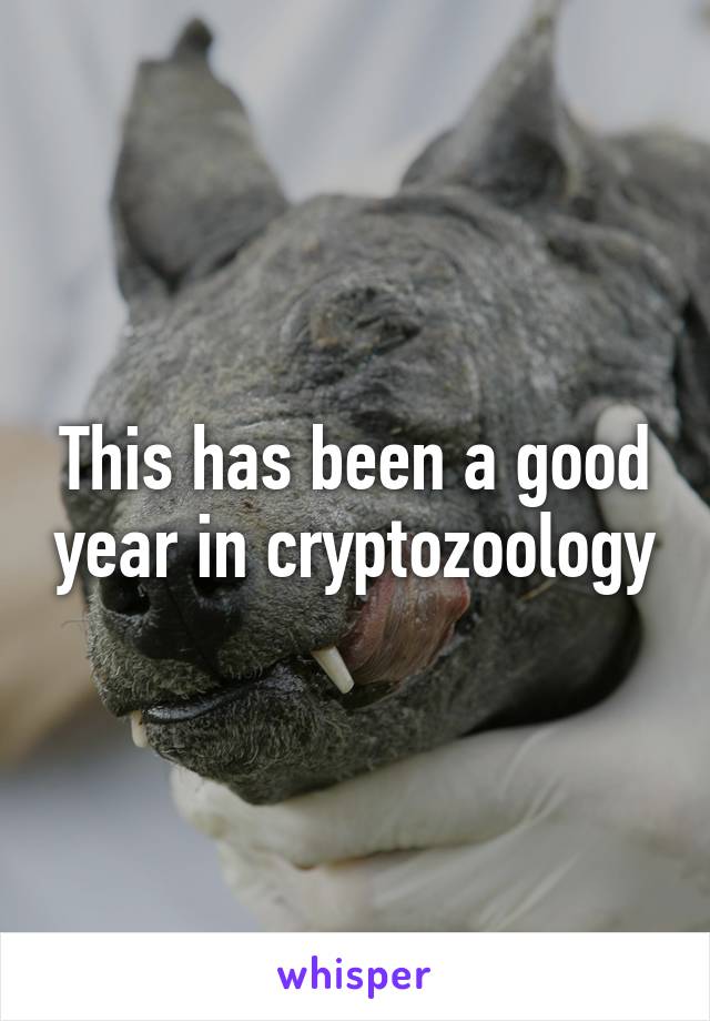 This has been a good year in cryptozoology