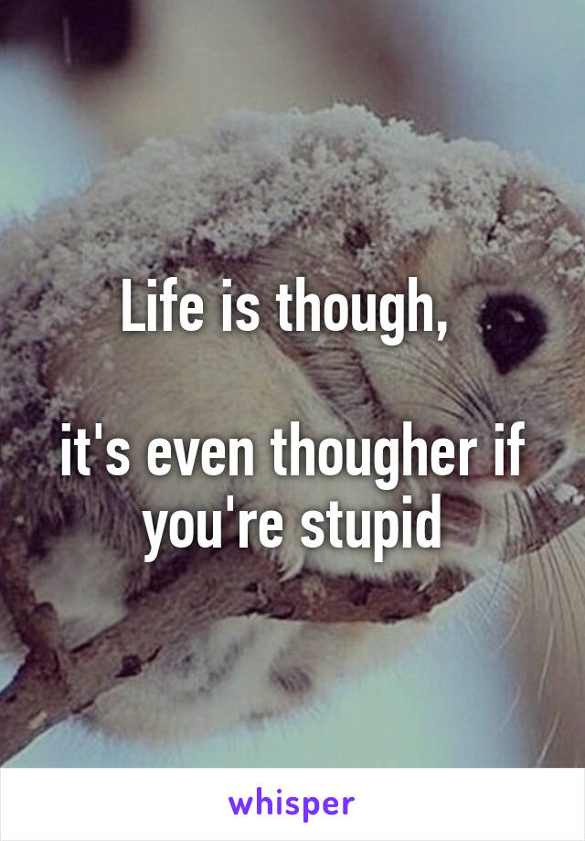 Life is though, 

it's even thougher if you're stupid