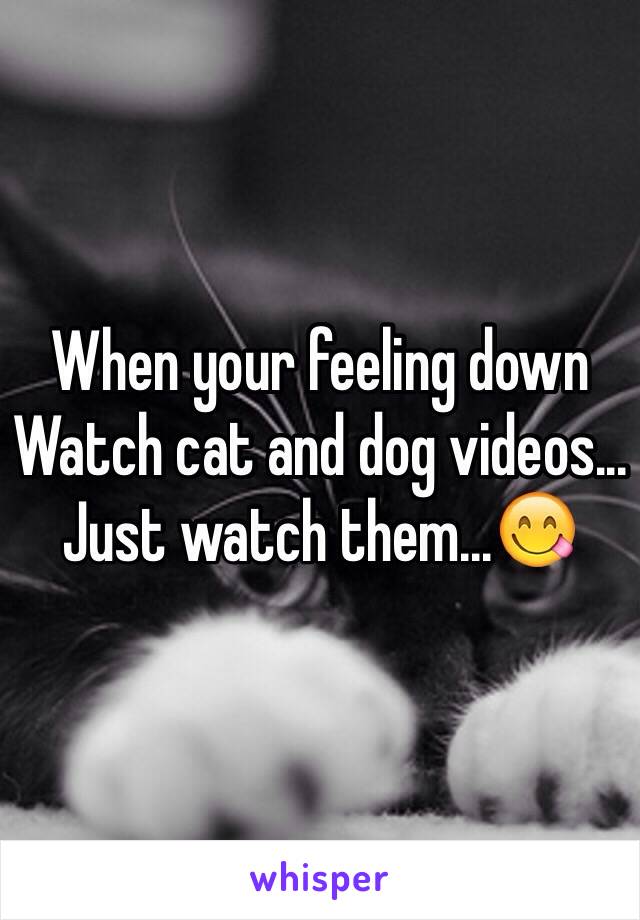 When your feeling down
Watch cat and dog videos...
Just watch them...😋