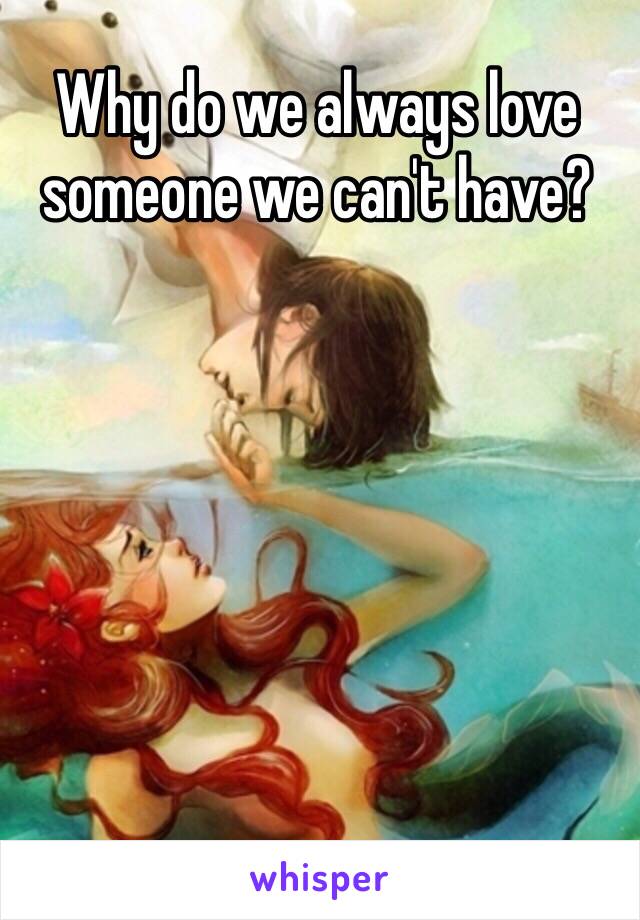 Why do we always love someone we can't have?