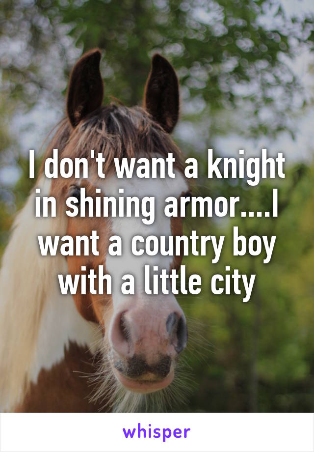 I don't want a knight in shining armor....I want a country boy with a little city