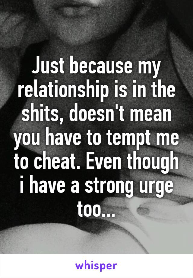 Just because my relationship is in the shits, doesn't mean you have to tempt me to cheat. Even though i have a strong urge too...