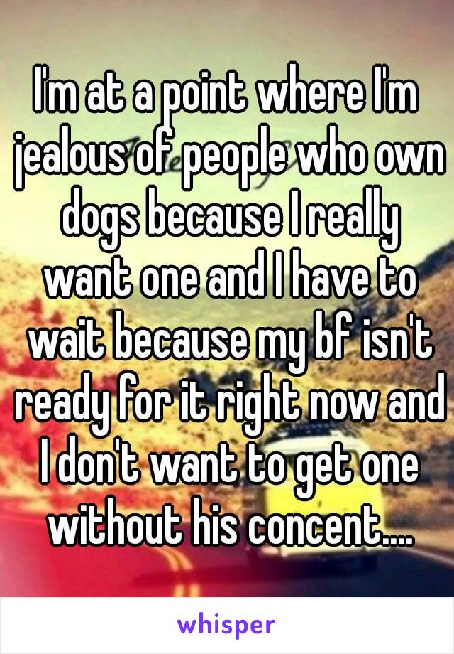 I'm at a point where I'm jealous of people who own dogs because I really want one and I have to wait because my bf isn't ready for it right now and I don't want to get one without his concent....