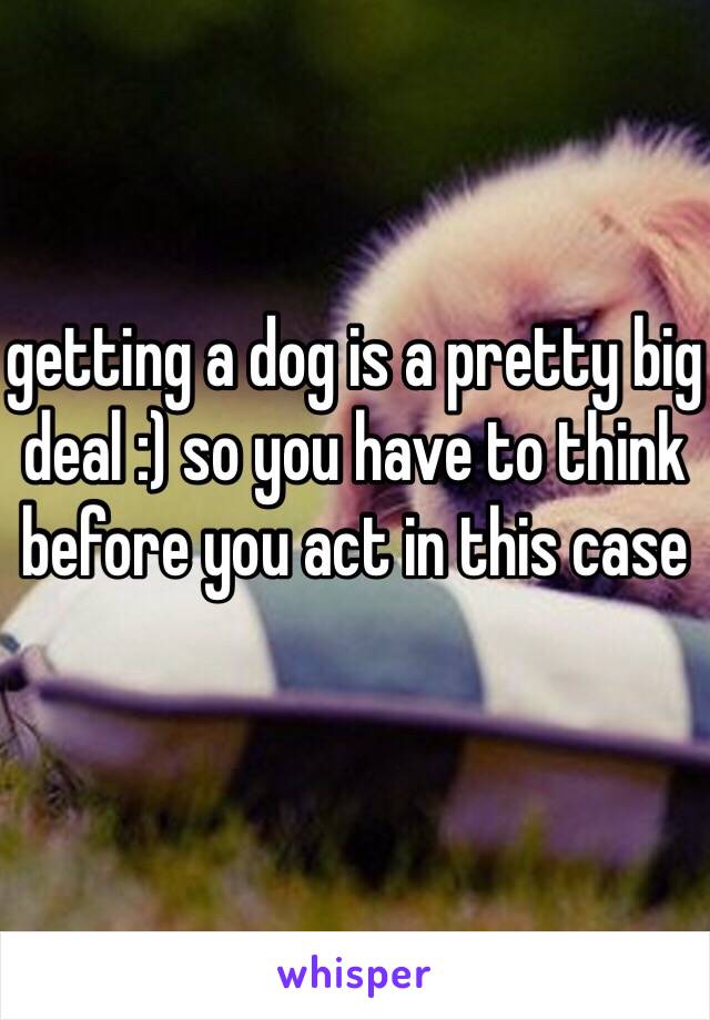 getting a dog is a pretty big deal :) so you have to think before you act in this case