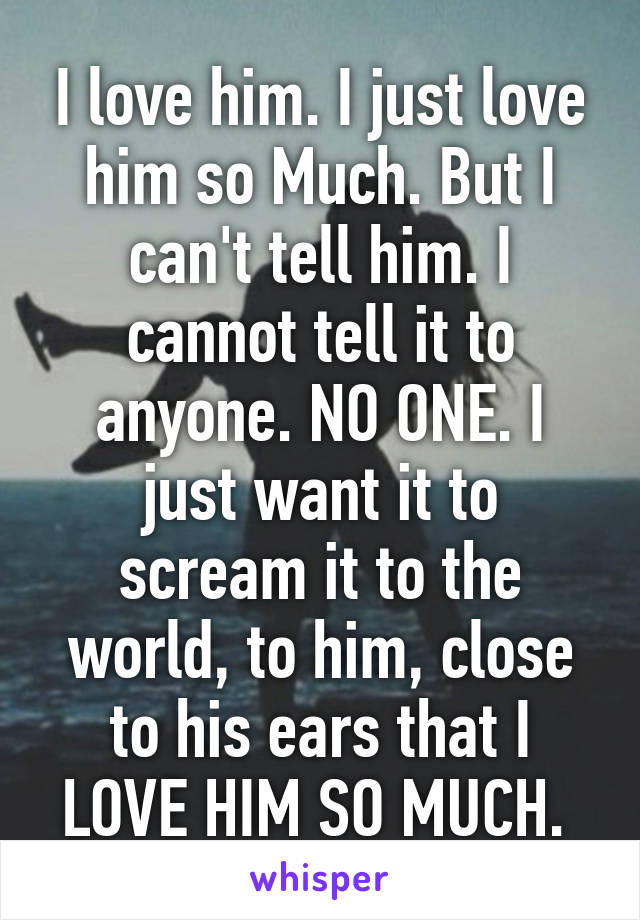 I love him. I just love him so Much. But I can't tell him. I cannot tell it to anyone. NO ONE. I just want it to scream it to the world, to him, close to his ears that I LOVE HIM SO MUCH. 