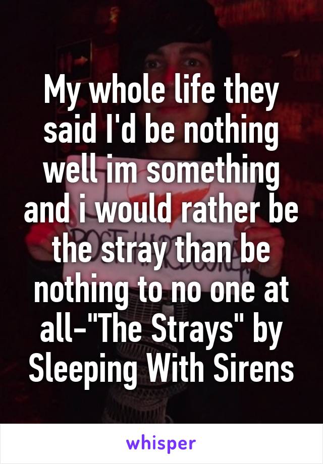 My whole life they said I'd be nothing well im something and i would rather be the stray than be nothing to no one at all-"The Strays" by Sleeping With Sirens