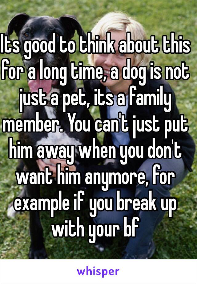 Its good to think about this for a long time, a dog is not just a pet, its a family member. You can't just put him away when you don't want him anymore, for example if you break up with your bf