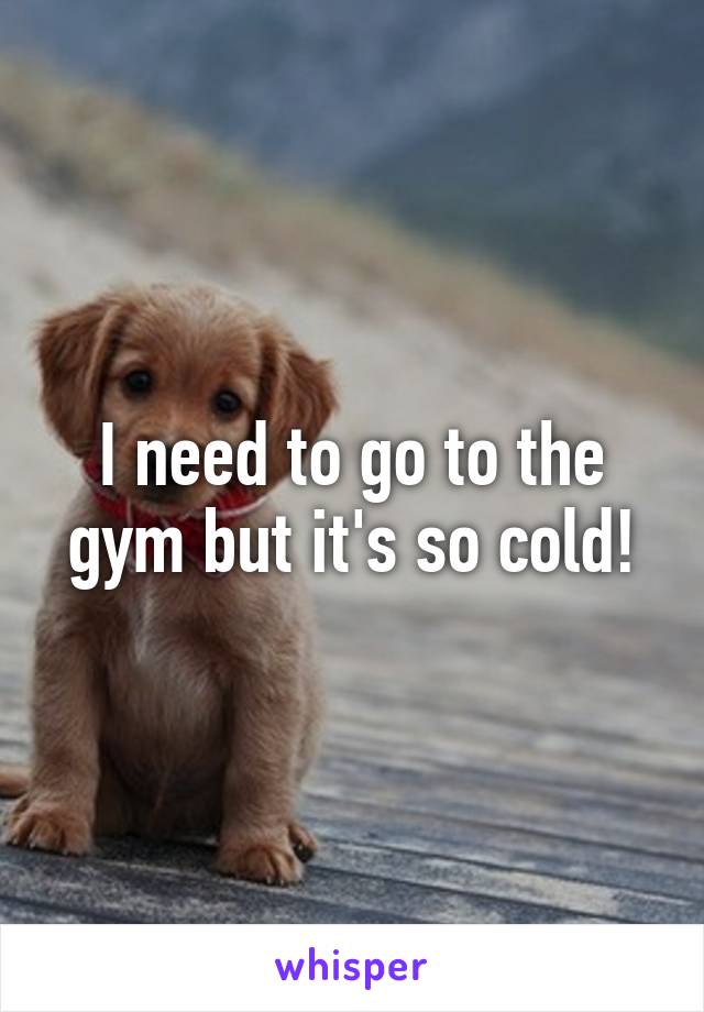 I need to go to the gym but it's so cold!