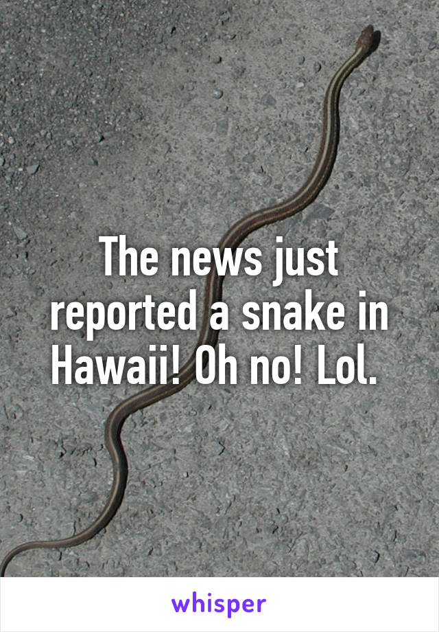 The news just reported a snake in Hawaii! Oh no! Lol. 