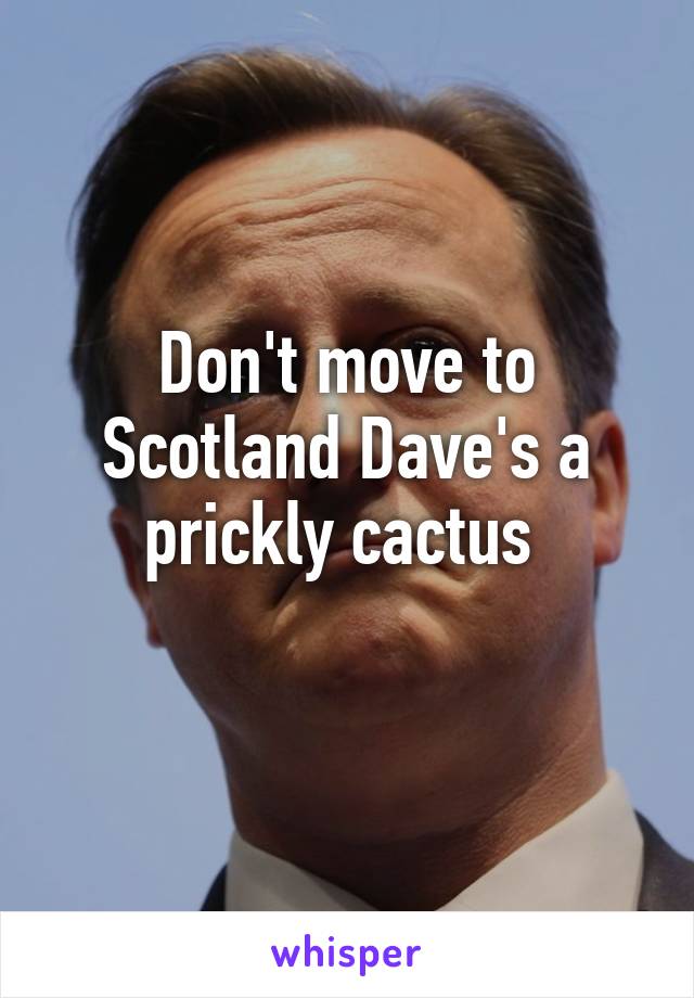 Don't move to Scotland Dave's a prickly cactus 
