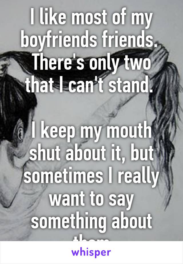 I like most of my boyfriends friends. 
There's only two that I can't stand. 

I keep my mouth shut about it, but sometimes I really want to say something about them