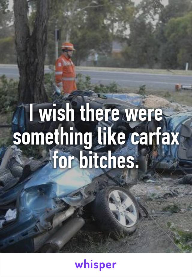 I wish there were something like carfax for bitches.