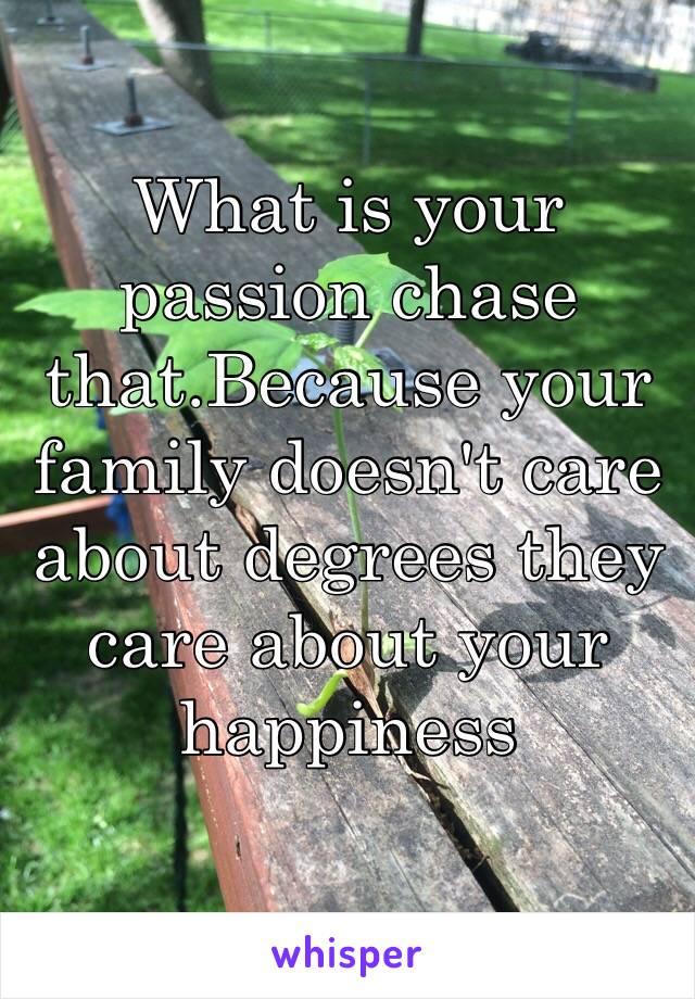 What is your passion chase that.Because your family doesn't care about degrees they care about your happiness 