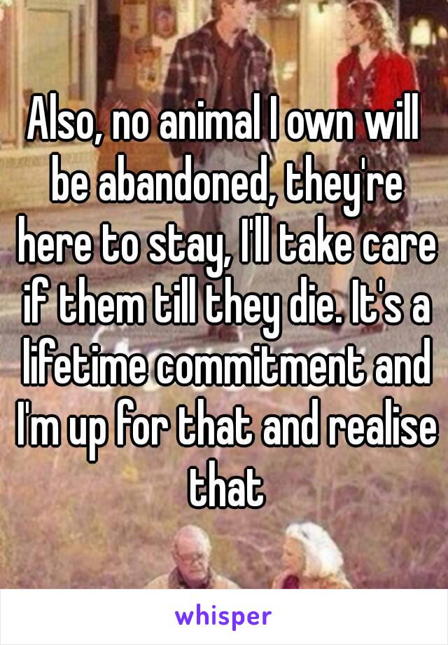 Also, no animal I own will be abandoned, they're here to stay, I'll take care if them till they die. It's a lifetime commitment and I'm up for that and realise that