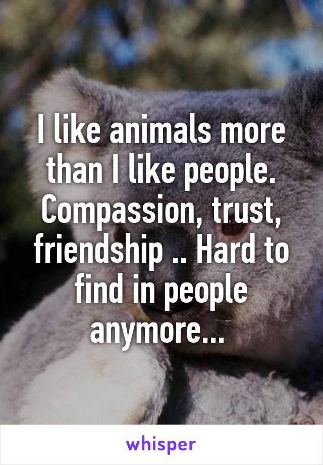 I like animals more than I like people. Compassion, trust, friendship .. Hard to find in people anymore... 