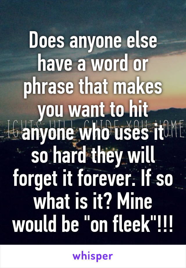 Does anyone else have a word or phrase that makes you want to hit anyone who uses it so hard they will forget it forever. If so what is it? Mine would be "on fleek"!!!