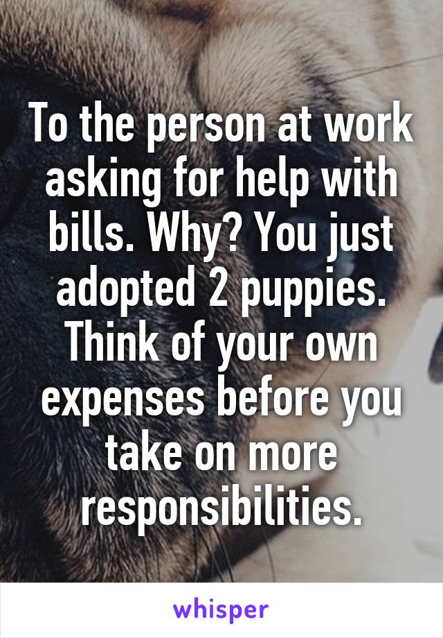 To the person at work asking for help with bills. Why? You just adopted 2 puppies. Think of your own expenses before you take on more responsibilities.