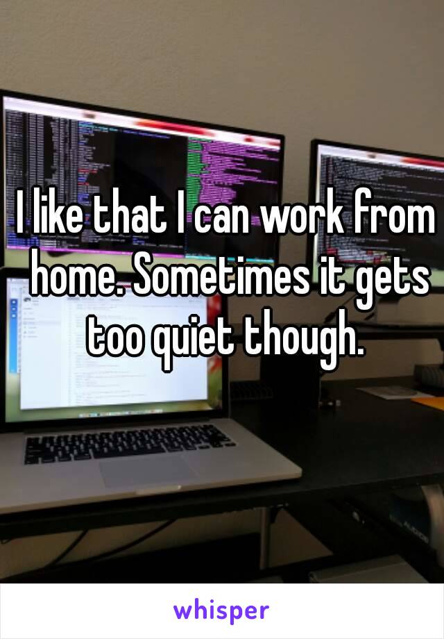 I like that I can work from home. Sometimes it gets too quiet though. 