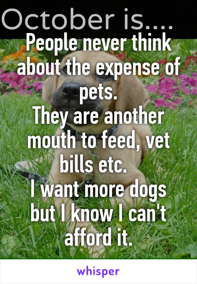 People never think about the expense of pets.
They are another mouth to feed, vet bills etc.  
I want more dogs but I know I can't afford it.