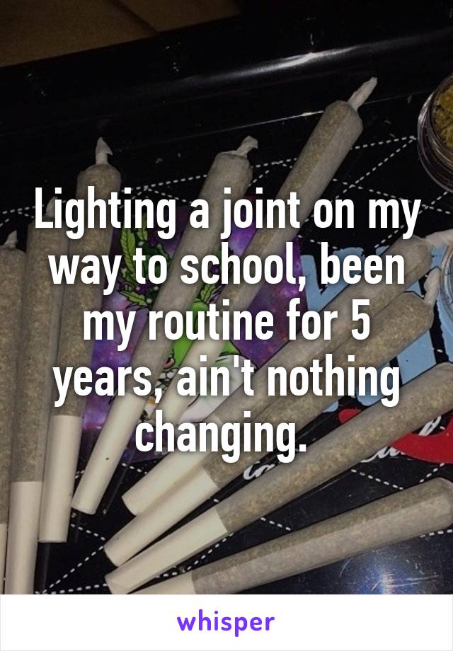 Lighting a joint on my way to school, been my routine for 5 years, ain't nothing changing. 