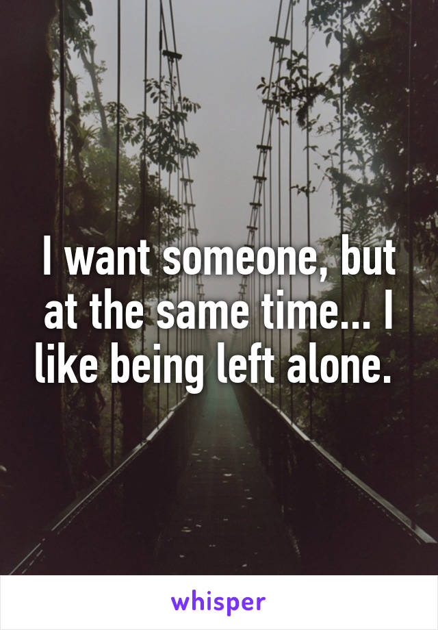 I want someone, but at the same time... I like being left alone. 