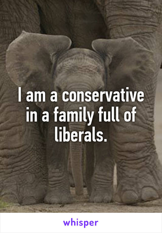 I am a conservative in a family full of liberals.