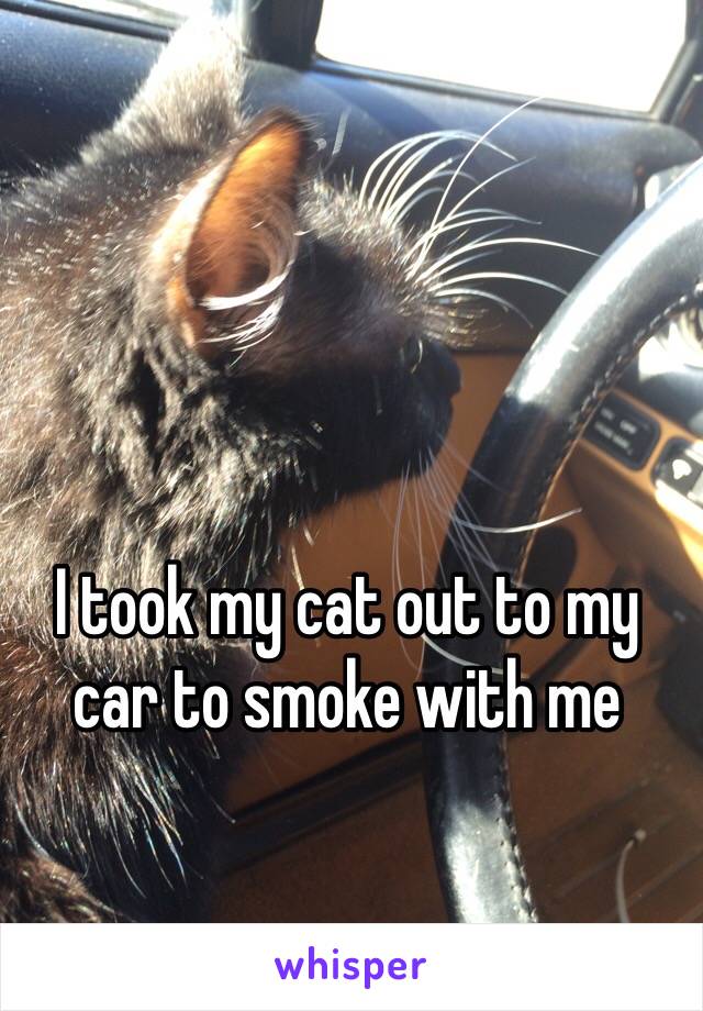 I took my cat out to my car to smoke with me