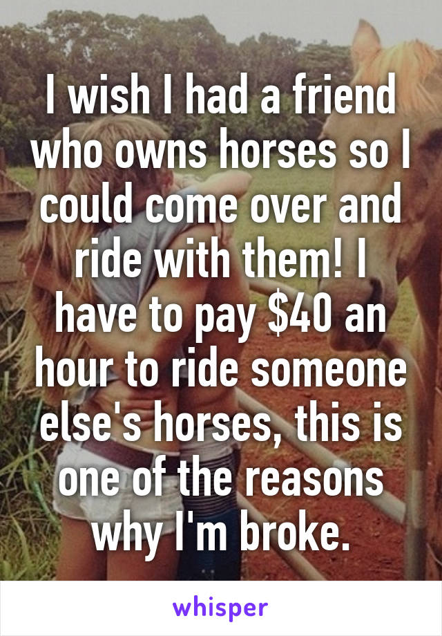 I wish I had a friend who owns horses so I could come over and ride with them! I have to pay $40 an hour to ride someone else's horses, this is one of the reasons why I'm broke.